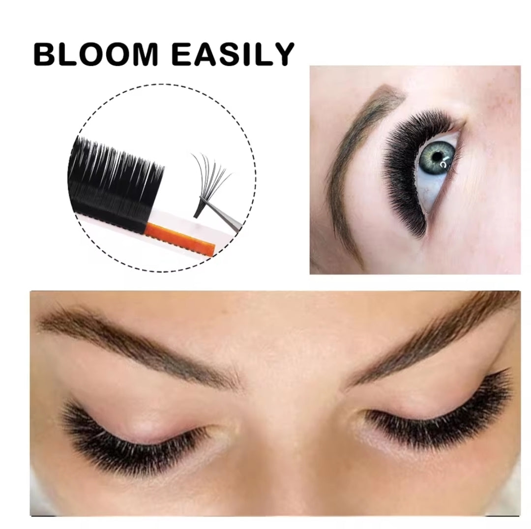 Extensiones Masscaku Bloom