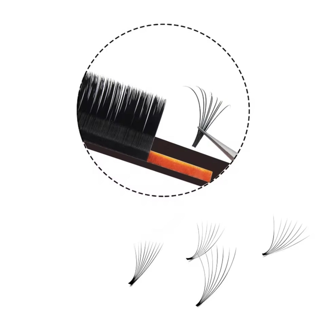 Extensiones Masscaku Bloom